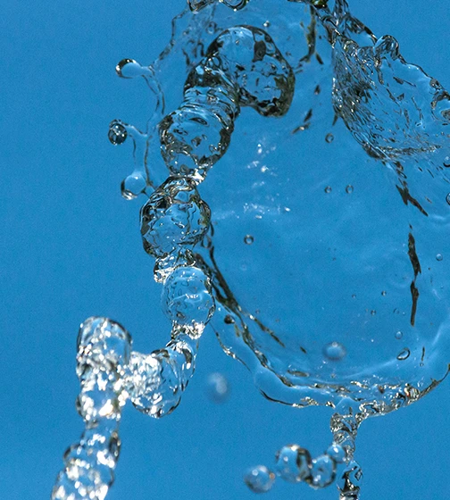 Applications organosilicium